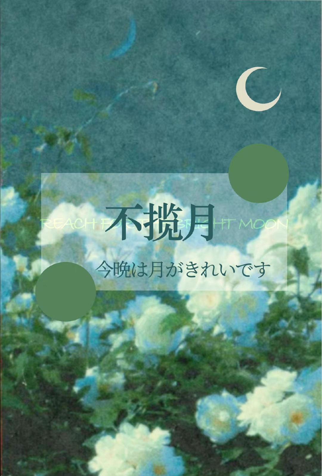 揽月