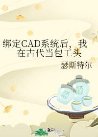 绑定CAD系统后,我在古代当包工头
