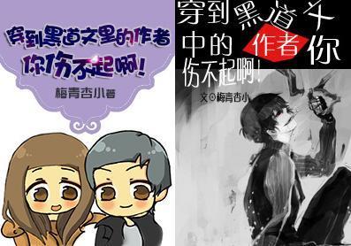 穿到黑道文裏的作者你伤不起啊！