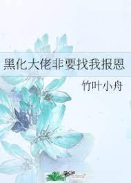 黑化大佬非要找我报恩