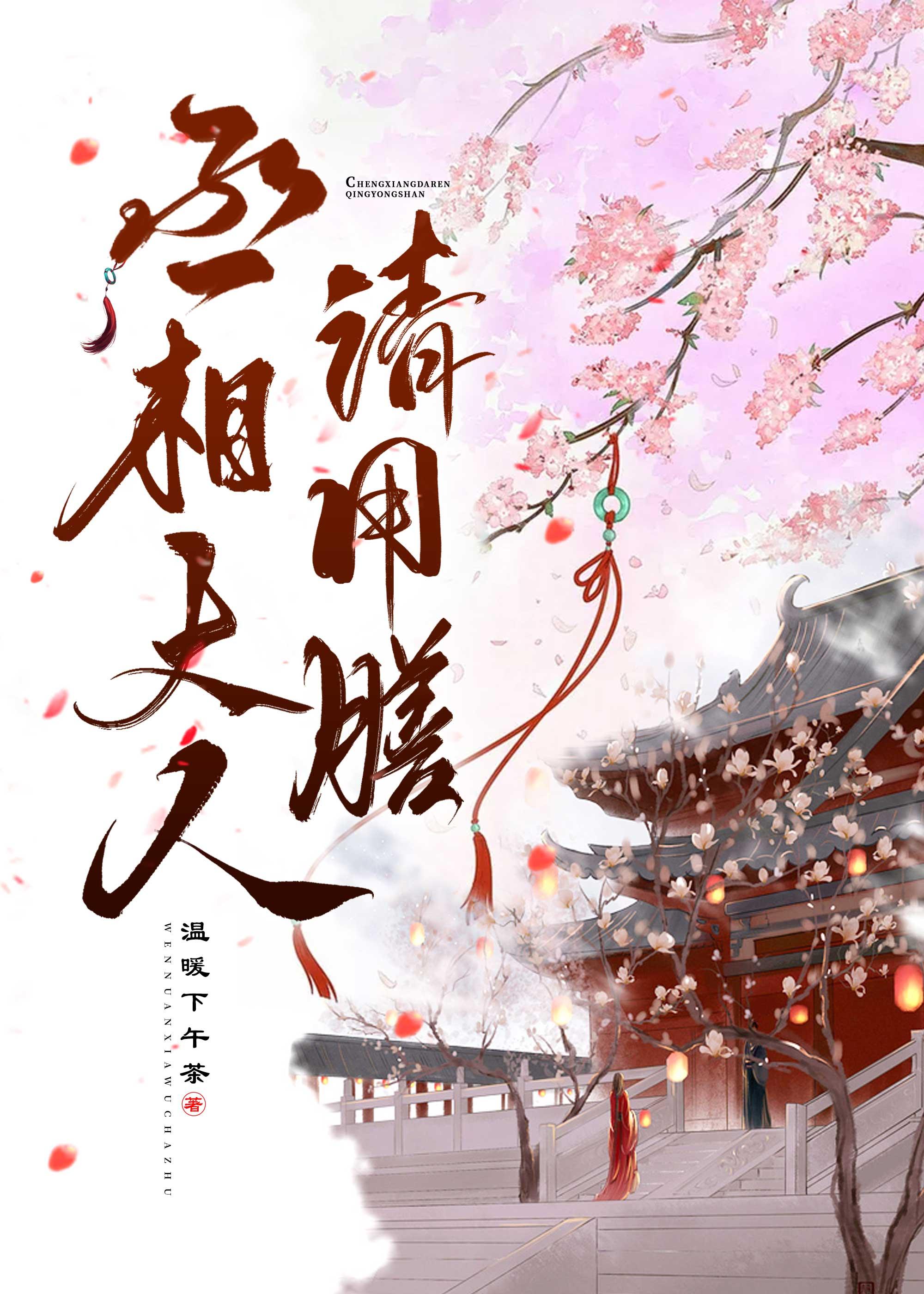 穿到三国，丞相大人请用膳
