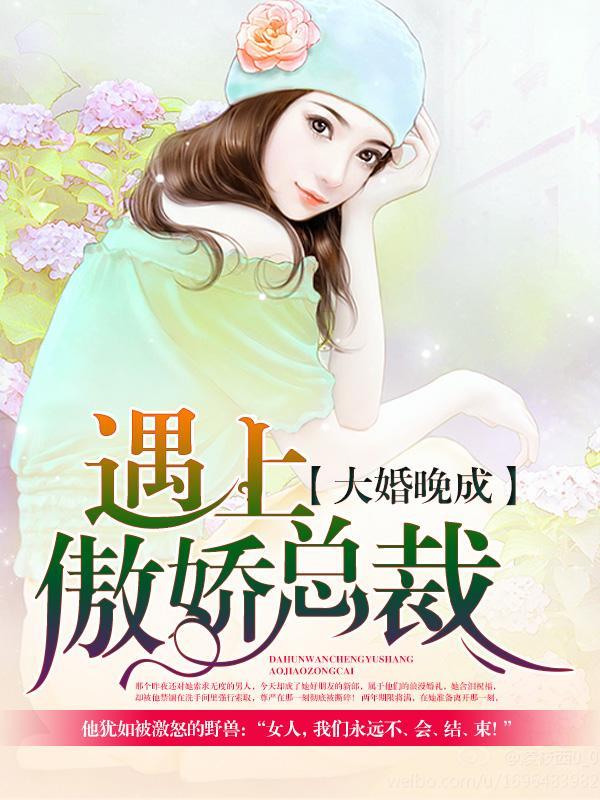 大婚晚成:遇上傲娇总裁
