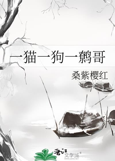 一猫一狗一鹩哥