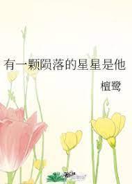一颗陨落的星星