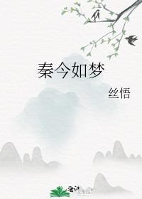 秦今如梦