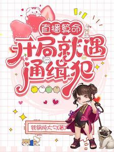 直播算命:开局就遇通缉犯