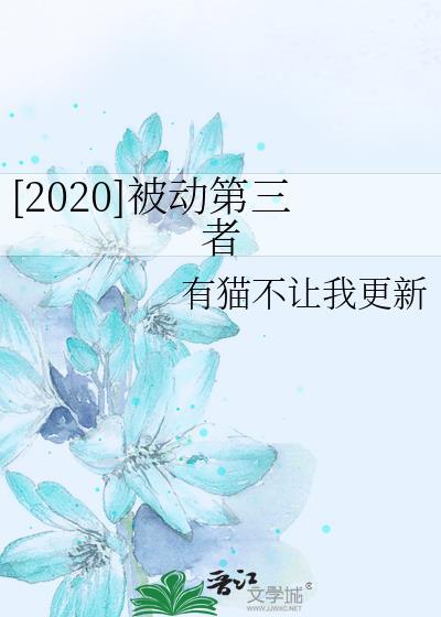 [2020]被动第三者