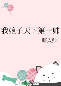 我娘子天下第一帅