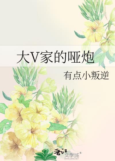 大V家的哑炮