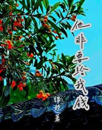 他非要给我钱