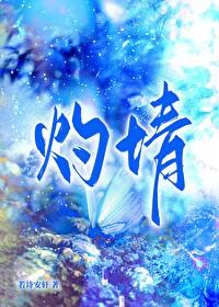 灼情