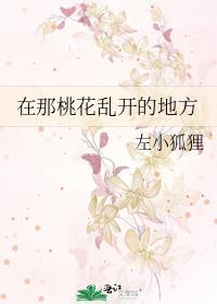 在那桃花乱开的地方