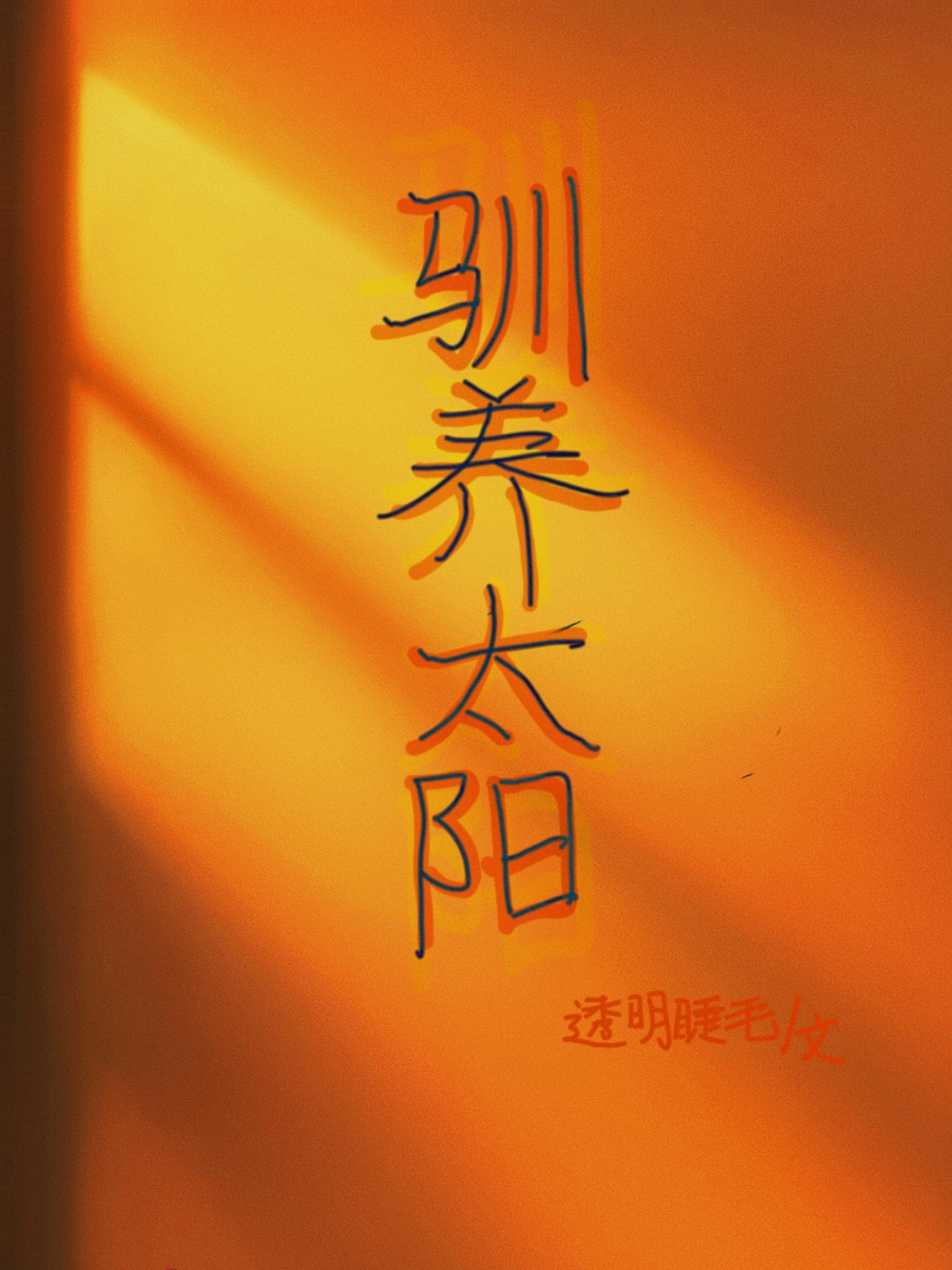 驯养太阳【校园】