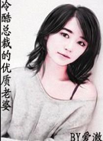 冷酷总裁的优质老婆