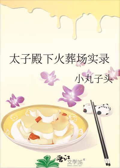 太子殿下火葬场实录