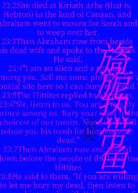 旖旎热带鱼