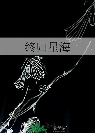 终归星海