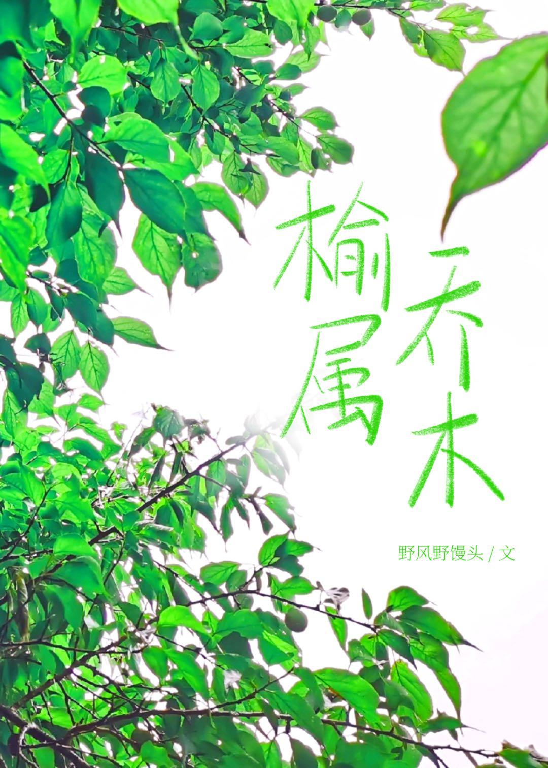 榆属乔木