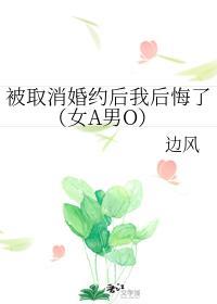 被取消婚约后我后悔了(女A男O)