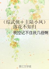 (综武侠+主陆小凤)落花不知归