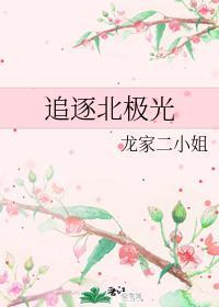 追逐北极光