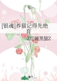 [银魂]养猫记得先绝育