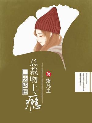 一夜成婚:总裁吻上瘾