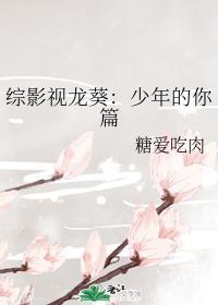 综影视龙葵：少年的你篇