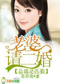 老婆,请再嫁一次