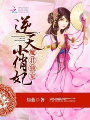 魔君独宠:逆天小俏妃