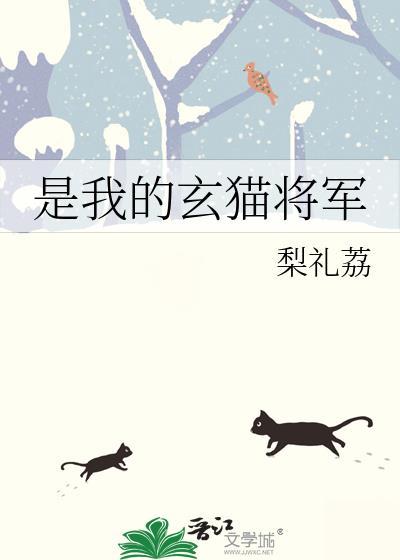 是我的玄猫将军