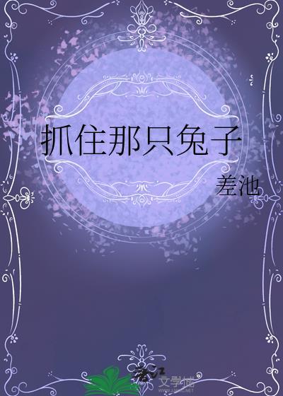抓住那只兔子