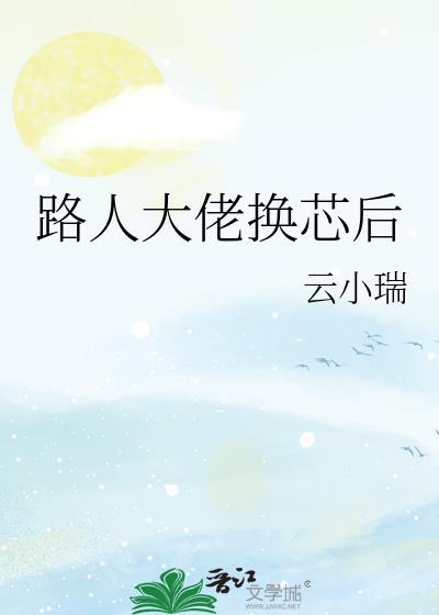 路人大佬换芯后