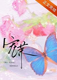 宠茉