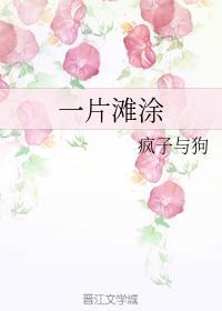 一片一片的沙滩
