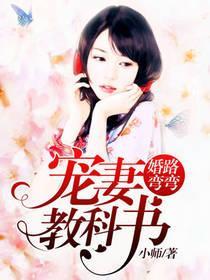 婚路弯弯：宠妻教科书