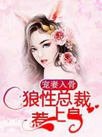 宠妻入骨:狼性总裁惹上身