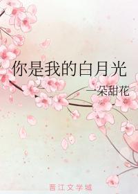 你是我的白月光