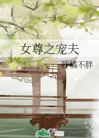 女尊之宠夫