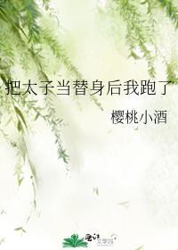 把太子当替身后我跑了
