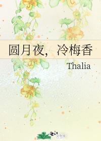 圆月夜，冷梅香