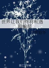 世界让我们终将相遇 超蝙超