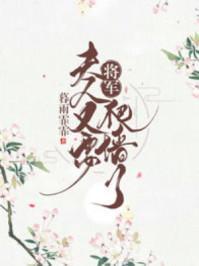 将军,夫人又要爬墻了秦珂赫连钦