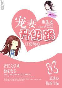 重生之宠妻升级路