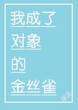 我成了对象的金丝雀［娱乐圈］