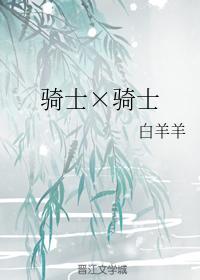 骑士×骑士