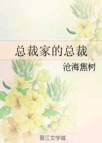 总裁家的总裁