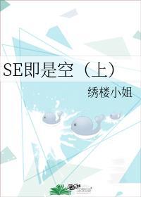 SE即是空（上）