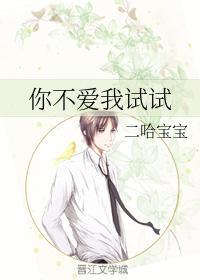 你不爱我试试