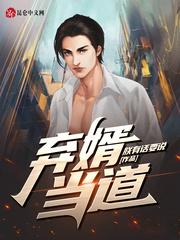 叶辰王佳珧